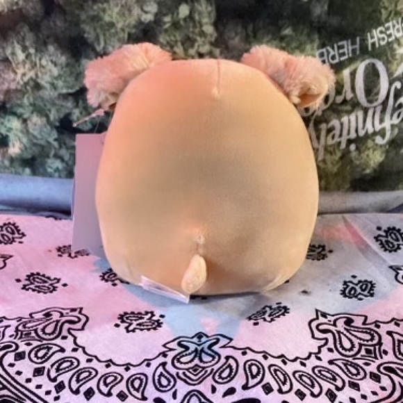 BNWT Stevon 5inch - Picture 2 of 3